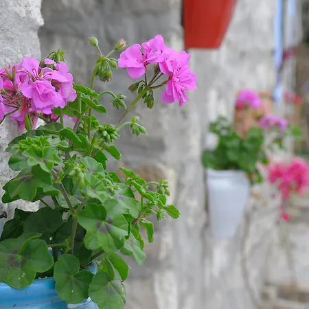 Recel * Alacati